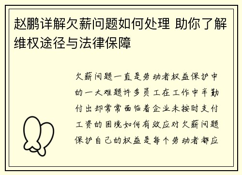 赵鹏详解欠薪问题如何处理 助你了解维权途径与法律保障